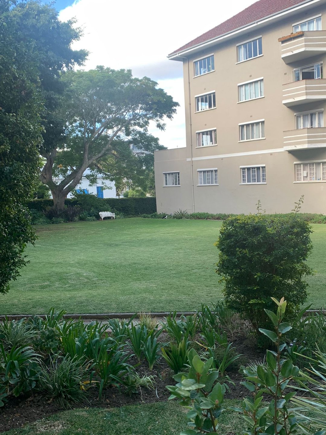 To Let 1 Bedroom Property for Rent in Rondebosch Western Cape